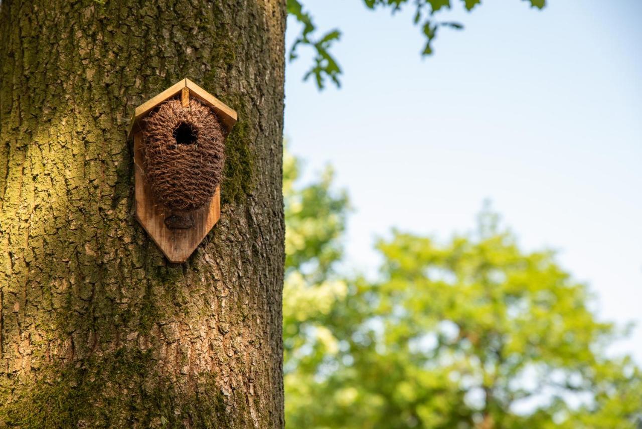Nature Hideout At Veluwe Nature Park Putten Ngoại thất bức ảnh